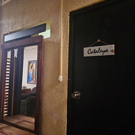 فندق Cermeno'S House أنتيغوا غواتيمالا المظهر الخارجي الصورة